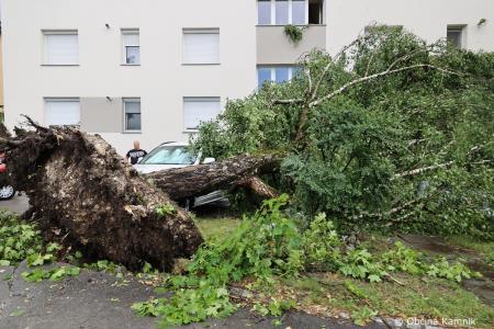 Neurje z vetrom podiralo drevesa in odkrivalo strehe (26)